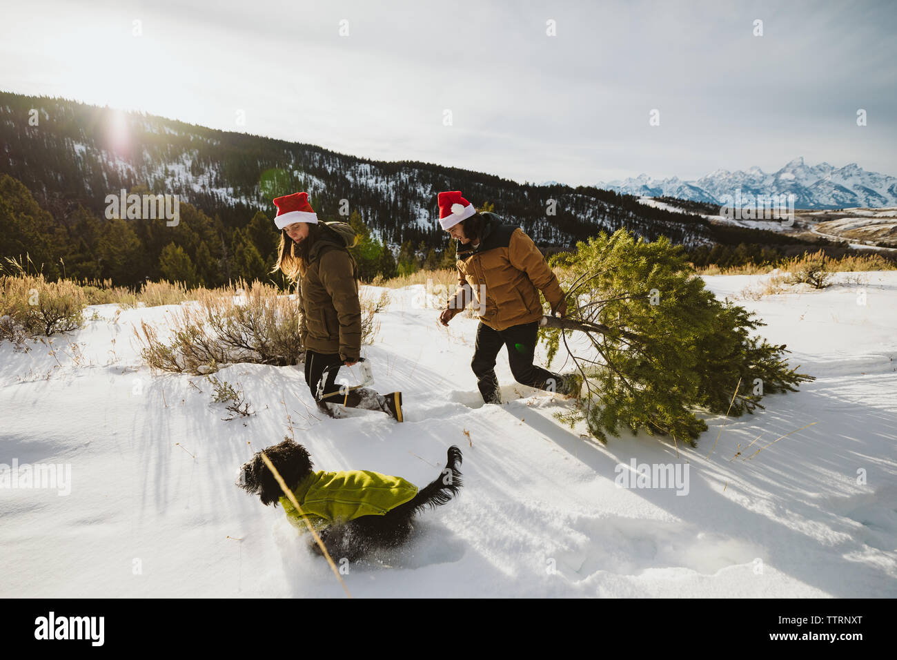 Paar mit ihrem Hund Wandern im Schnee nach dem Schneiden Weihnachtsbaum Stockfoto