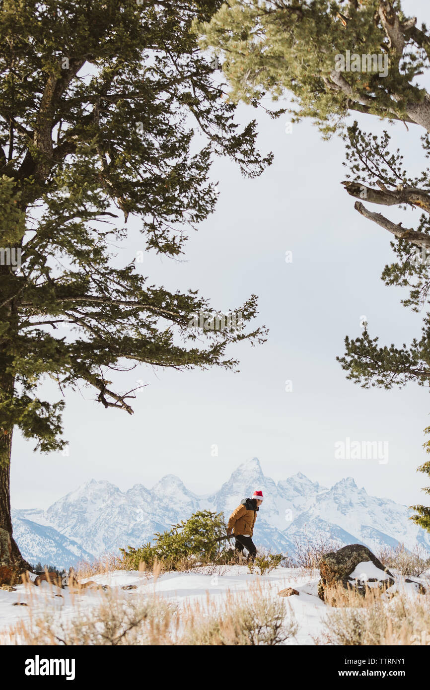 Junger Mann schleppt Weihnachtsbaum mit Tetons im Hintergrund Stockfoto