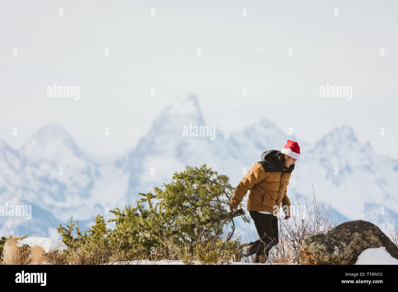 Weihnachtsbaum mit Tetons Bergkulisse Stockfoto