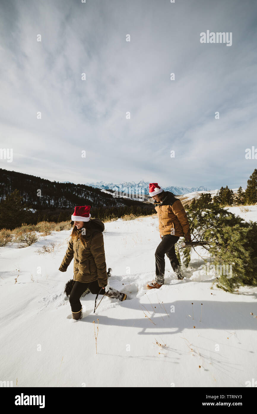 Mann und Frau Süß und Weihnachten Baum ziehen in den Tetons Stockfoto