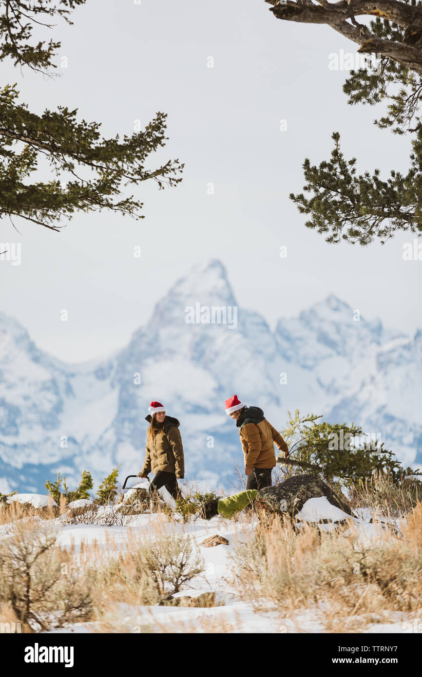 Paar schneidet unten Weihnachtsbaum in den Tetons Stockfoto