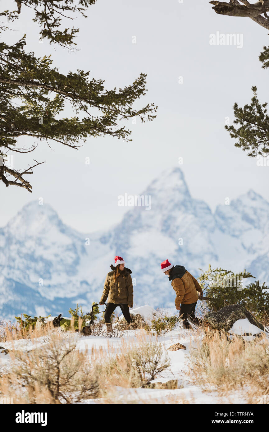 Teton Kulisse für einen Weihnachtsbaum schneiden Stockfoto