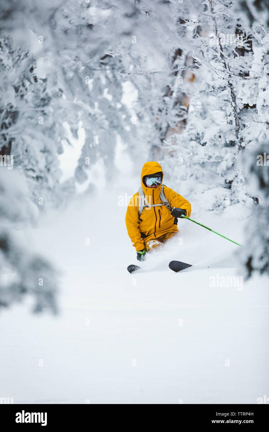 Skifahrer bro in gelber Jacke macht Pulver wird in weißen Wald Stockfoto