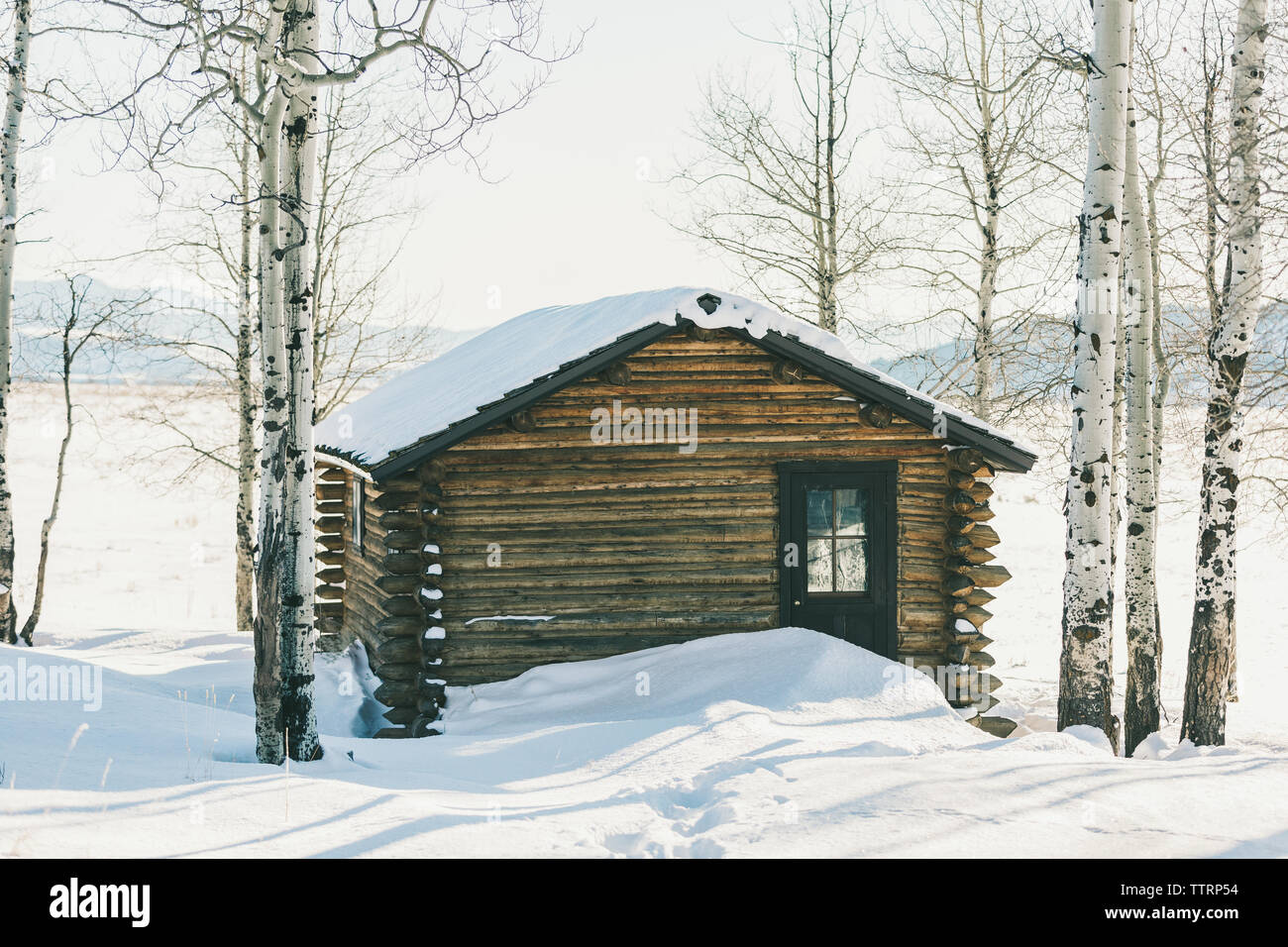 Historische verschneiten Hütte in Aspen Bäumen anmelden Stockfoto
