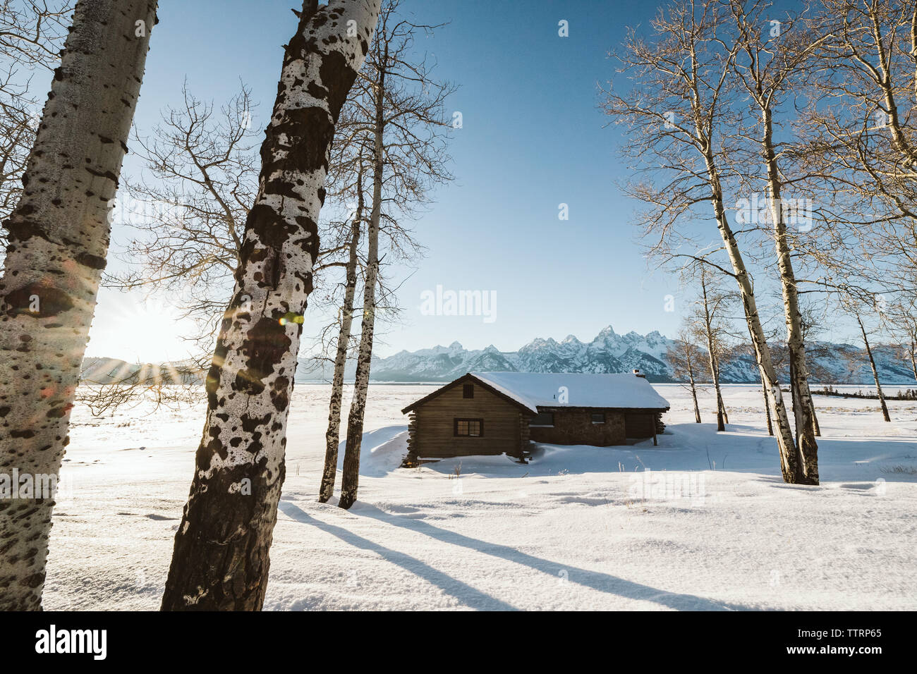 Kabine sitzt entlang in einem Winter in Wyoming in der Nähe der Grand Teton Mountains Stockfoto