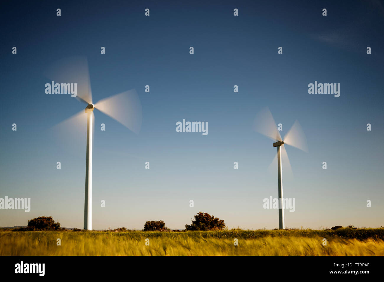 Windkraftanlagen in Bewegung auf dem Feld gegen den klaren blauen Himmel Stockfoto