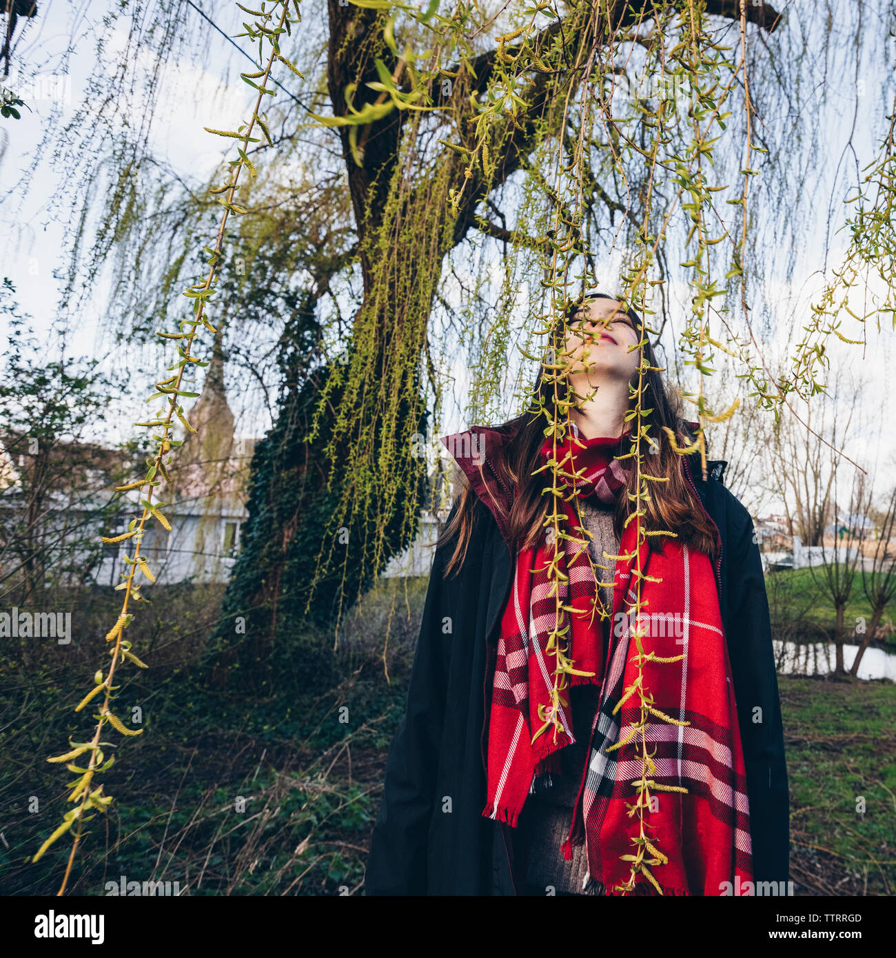 Frau in warme Kleidung unter Willow in der erste Tag des Frühlings. Stockfoto
