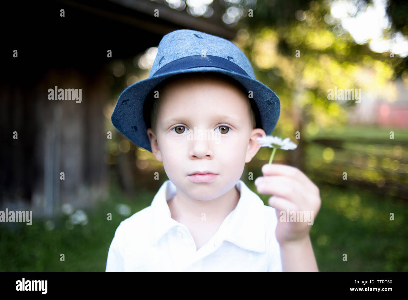 Portrait von Boy holding Blume im Park Stockfoto