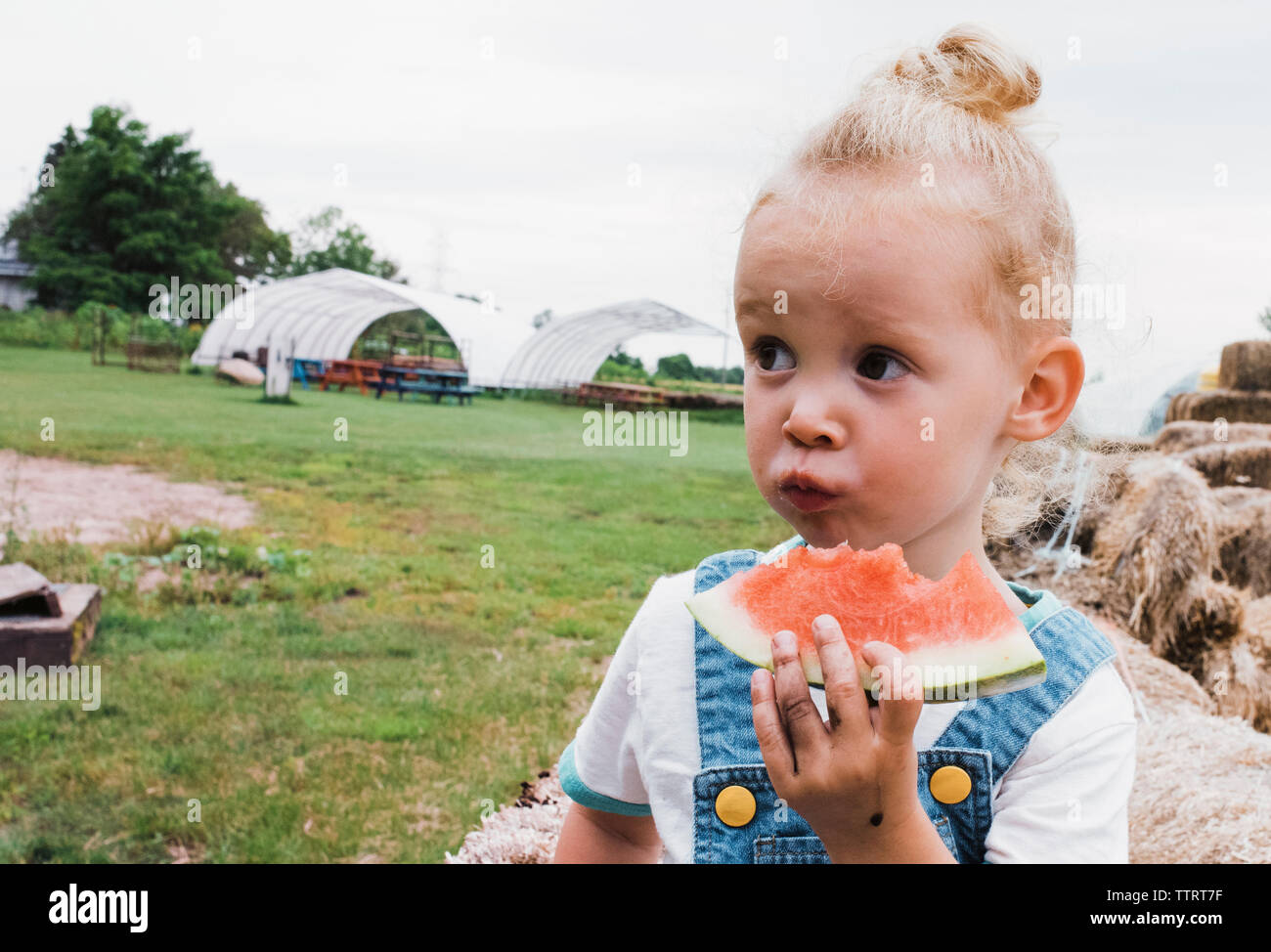 Mädchen, Essen, Wassermelone gegen den klaren Himmel am Bauernhof Stockfoto