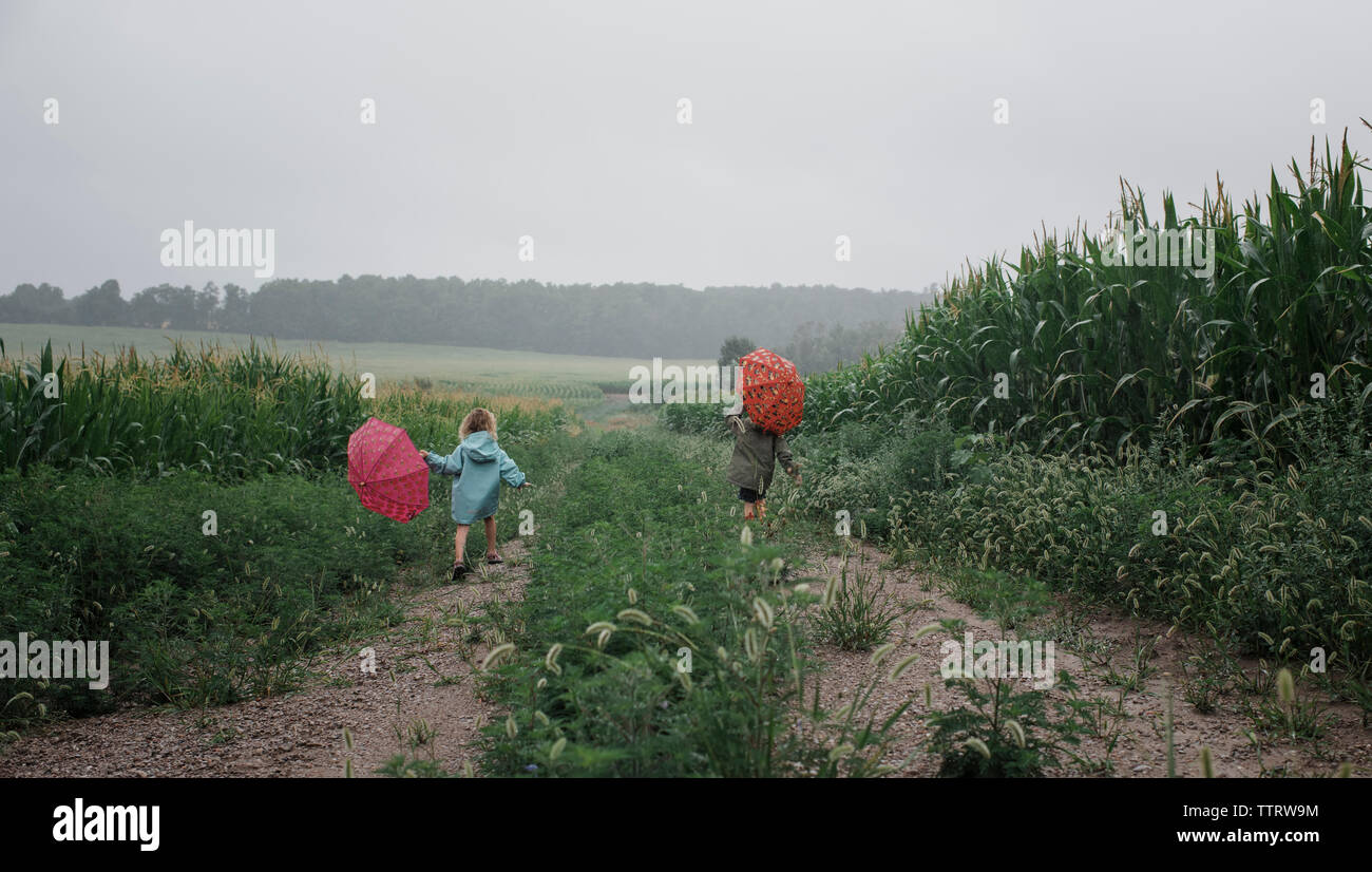 Ansicht der Rückseite des Geschwister Sonnenschirme, die beim Gehen auf Feld gegen Himmel während der Regenzeit Stockfoto