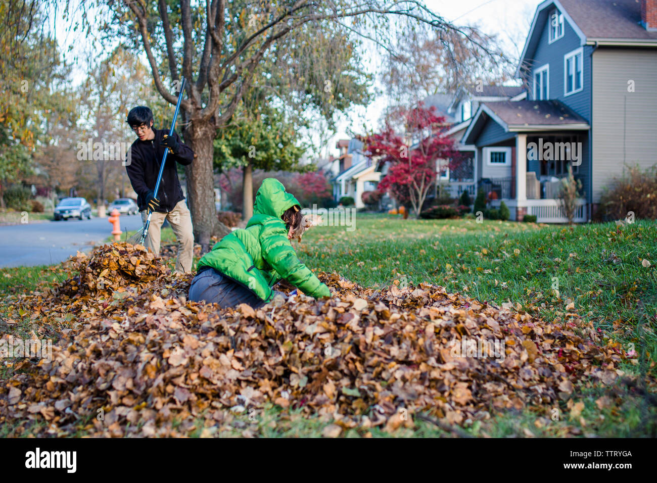 Ein Junge springt in einen Haufen Blätter sein Vater versucht zu rechen Stockfoto