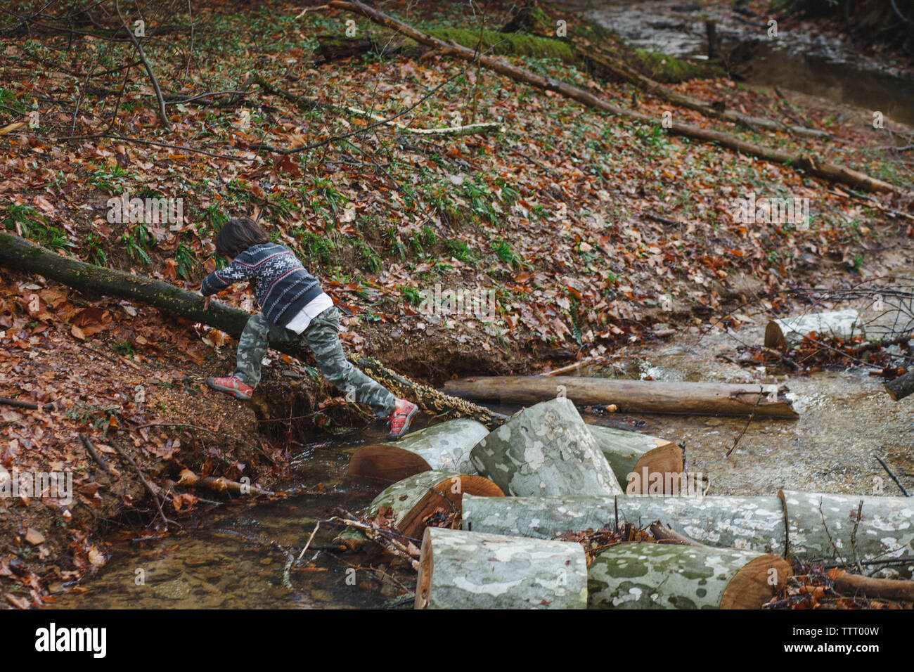 Ein kleines Kind spielt und springt in einen Bach im Wald Stockfoto