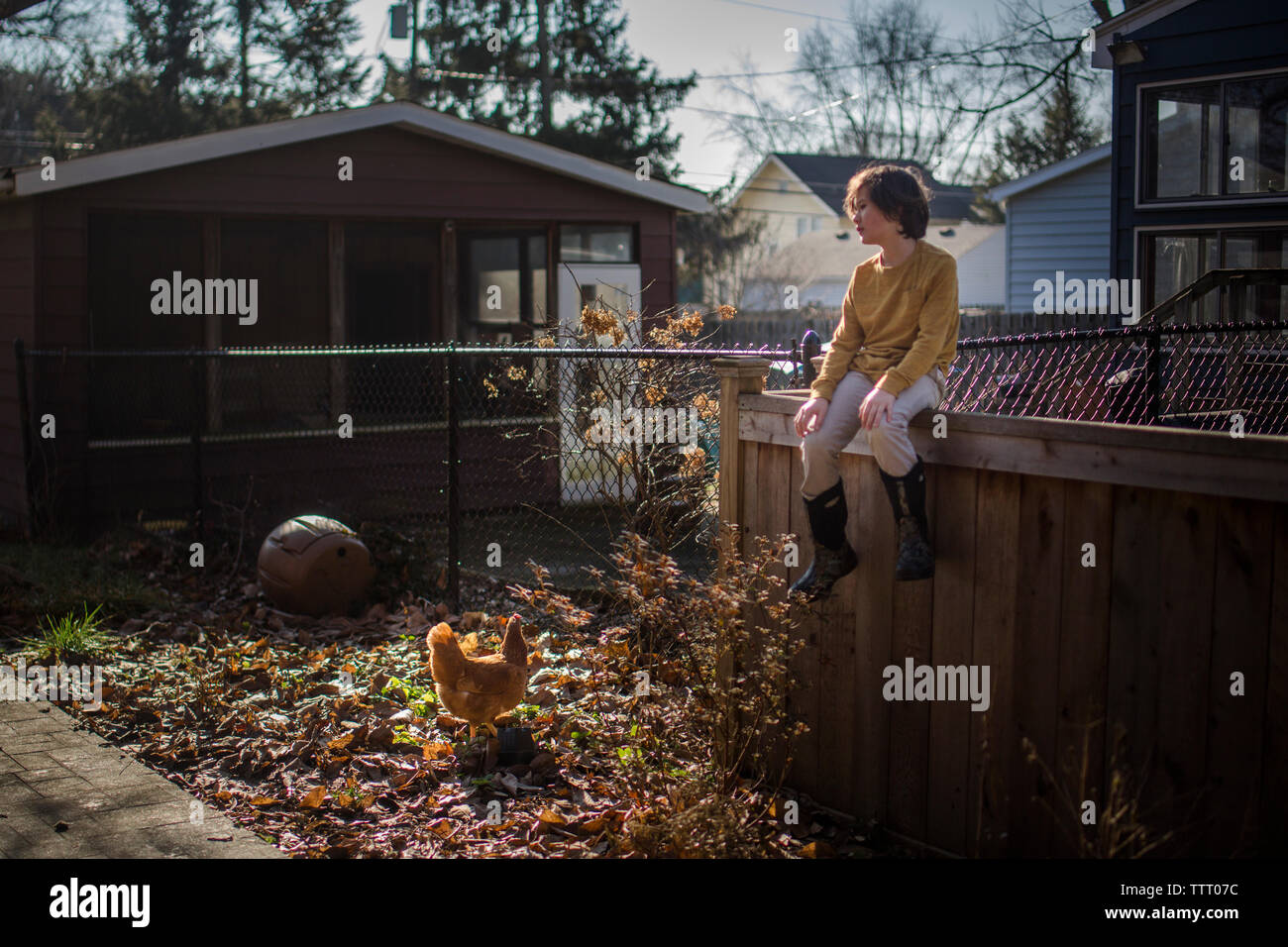 Ein schönes Kind sitzt auf einem Zaun in einem Hinterhof zu einem Huhn suchen Stockfoto