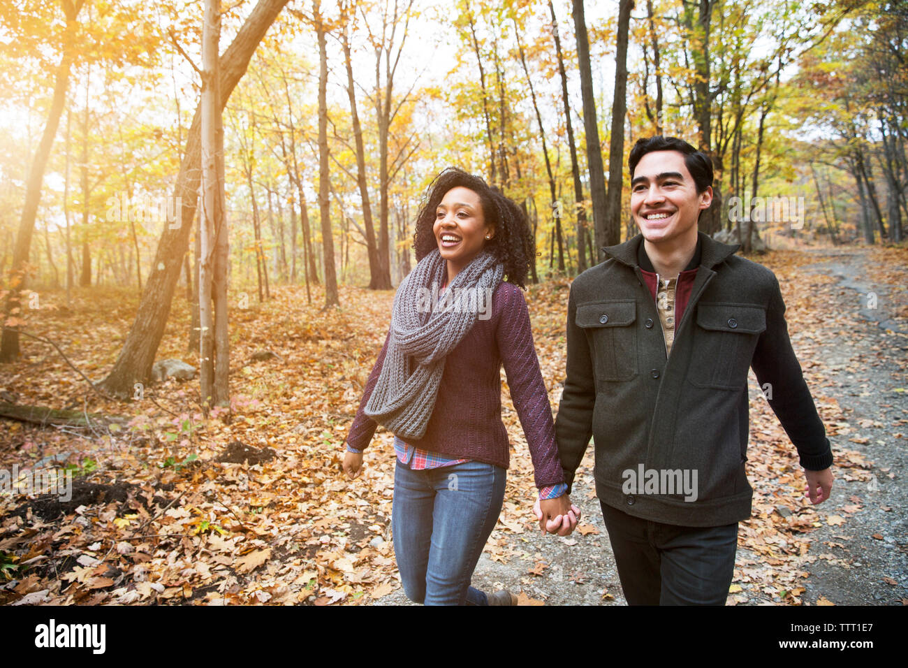 Glückliches Paar Hände halten beim Laufen im Wald Stockfoto
