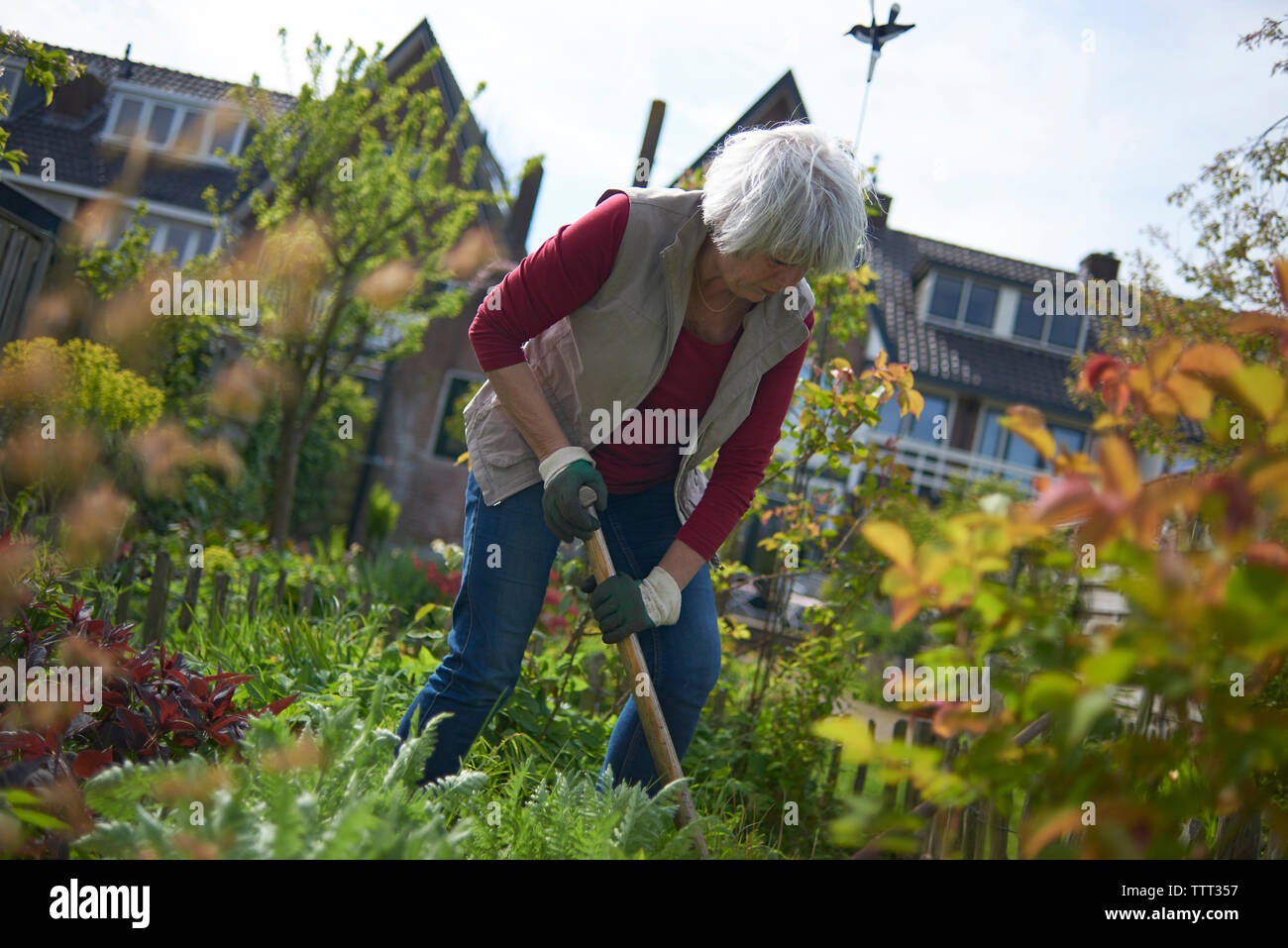 Ältere Frau Gartenarbeit gegen Haus im Hinterhof Stockfoto