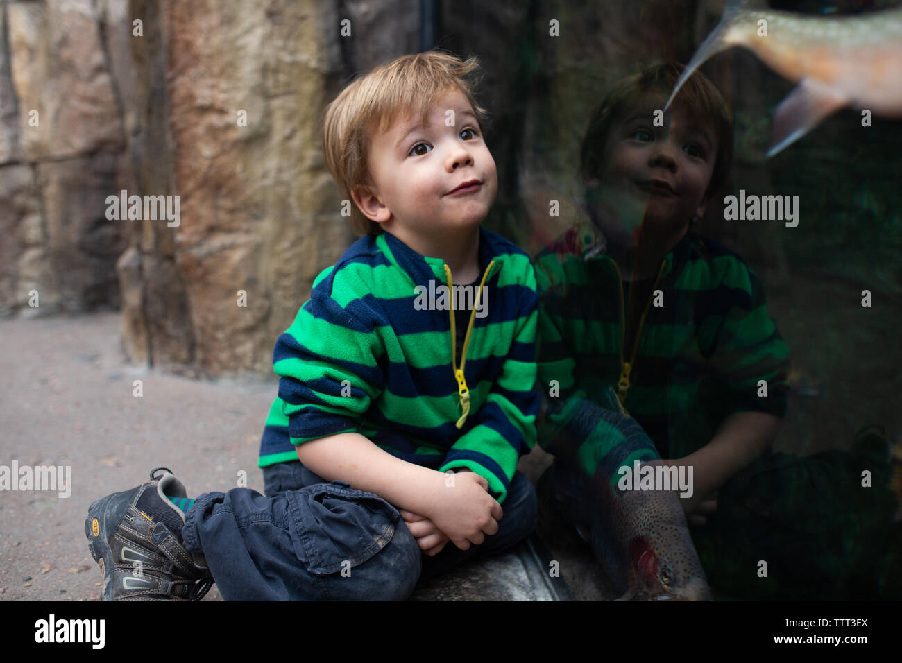Little Boy auf Fische in einem Aquarium Stockfoto