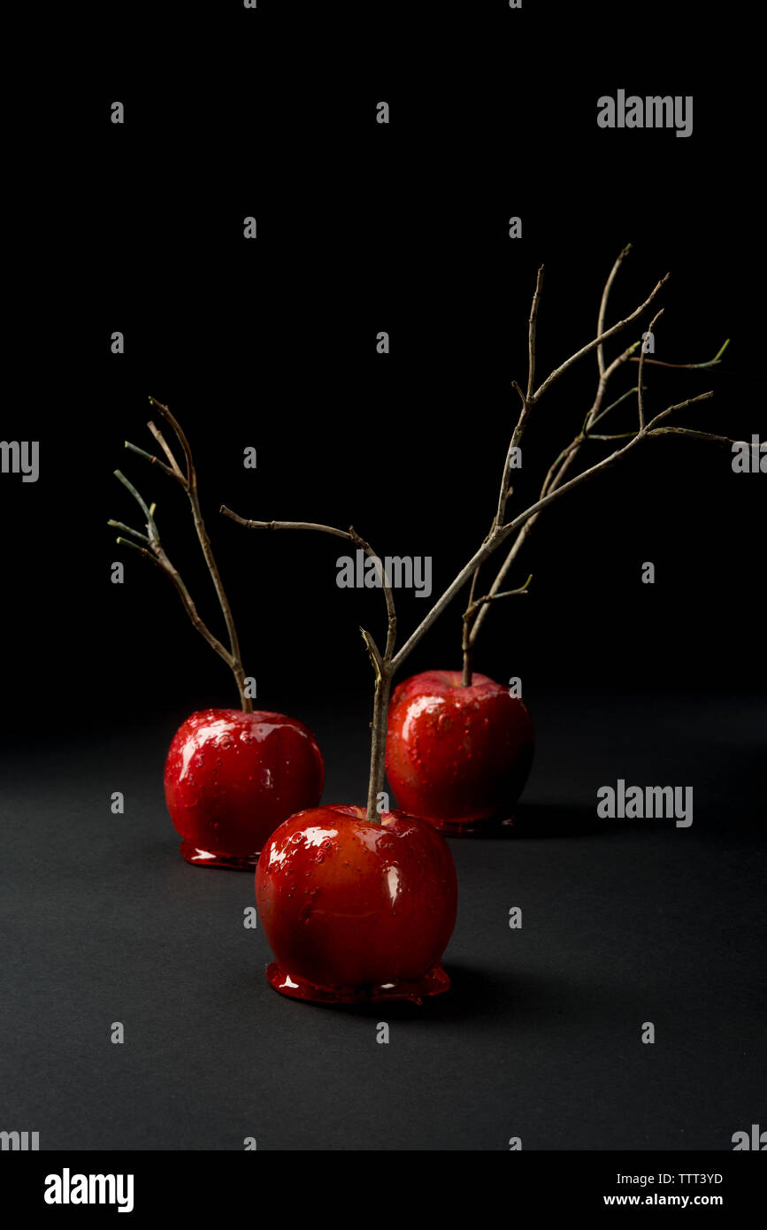 Close-up von Zweigen auf taffy Äpfel auf schwarzem Hintergrund Stockfoto