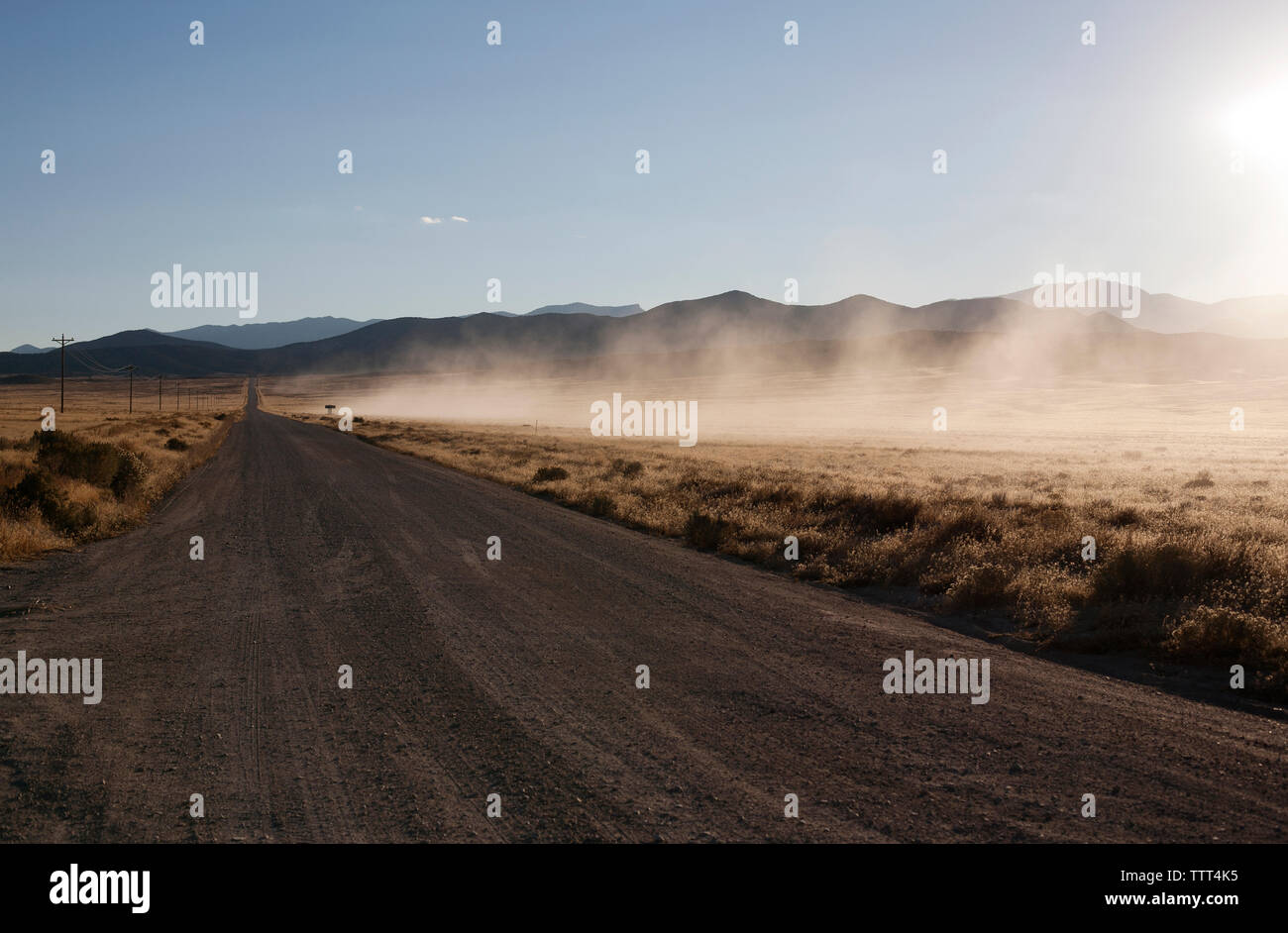 Malerischer Blick auf Straße inmitten von Feld Stockfoto