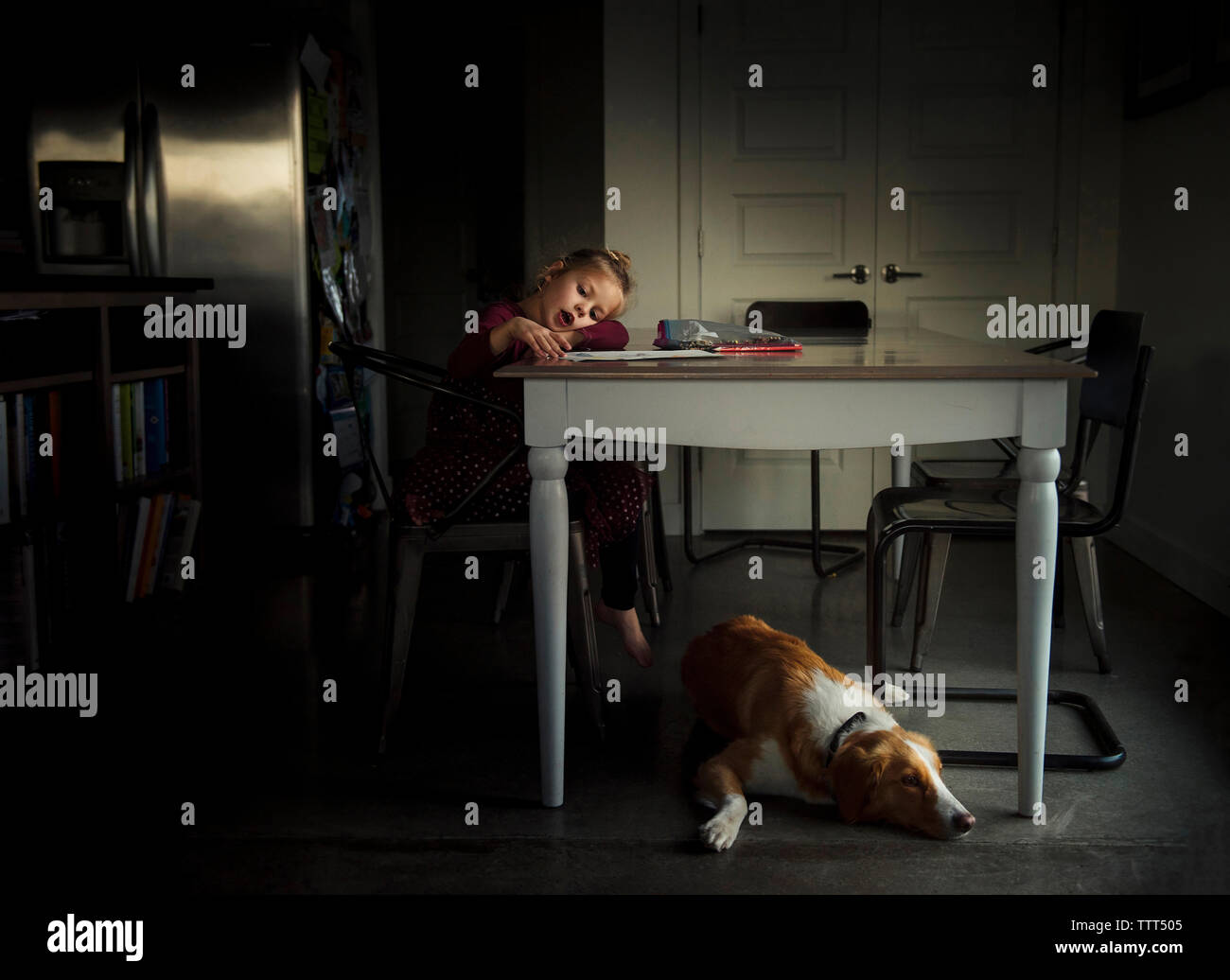 Mädchen Färbung am Esstisch während Hund auf dem Boden zu Hause liegen Stockfoto