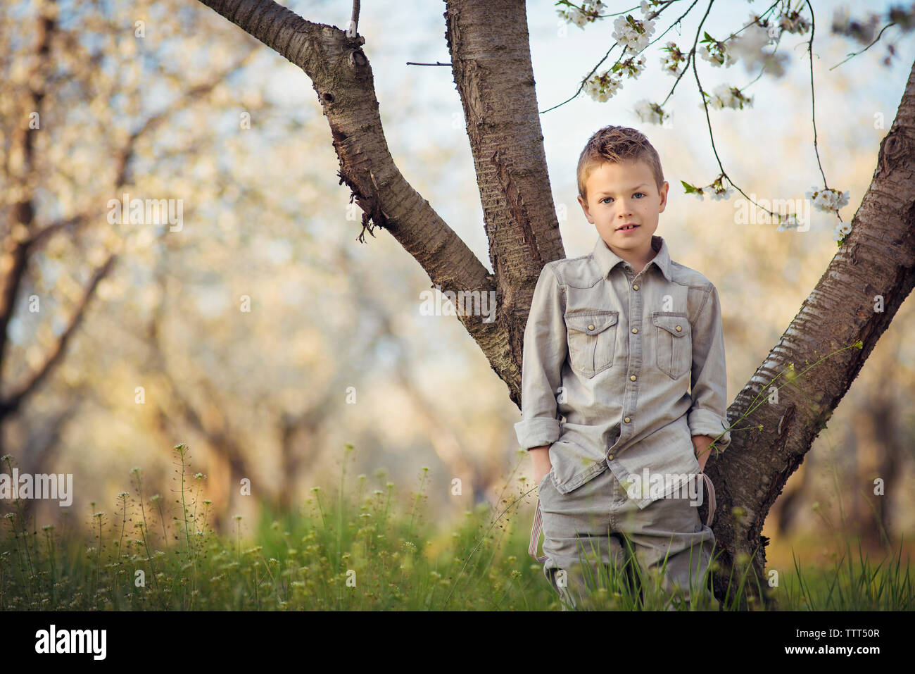 Portrait von süßen Jungen mit Händen in den Taschen gegen den Baumstamm am Bauernhof stehend Stockfoto