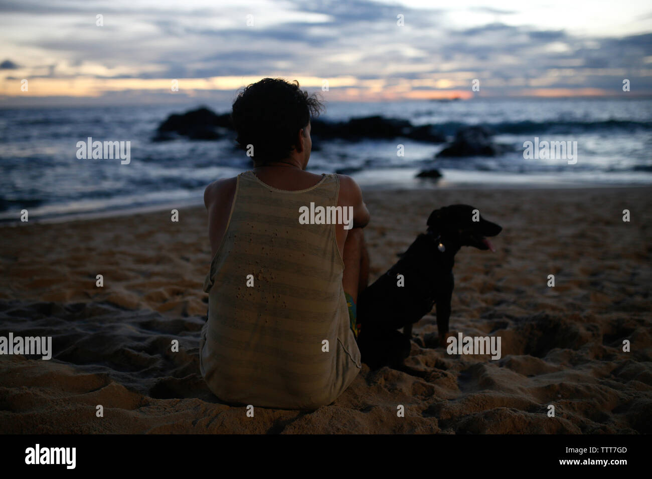Ansicht der Rückseite des Mann mit Welpen sitzen auf Sand am Strand Stockfoto
