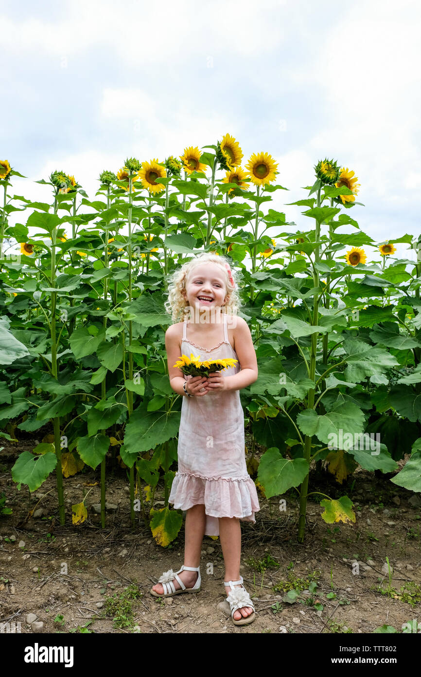 Fröhliches Mädchen holding Sonnenblumen im Stehen gegen Pflanzen Stockfoto
