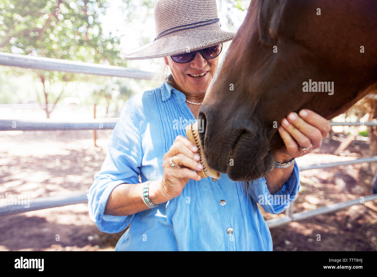 Ältere Frau bürsten Pferd, während auf der Farm stehen Stockfoto