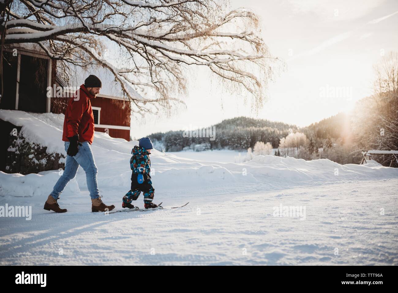 Vater Sohn wandern Langlaufen in Snow White wald winter Stockfoto