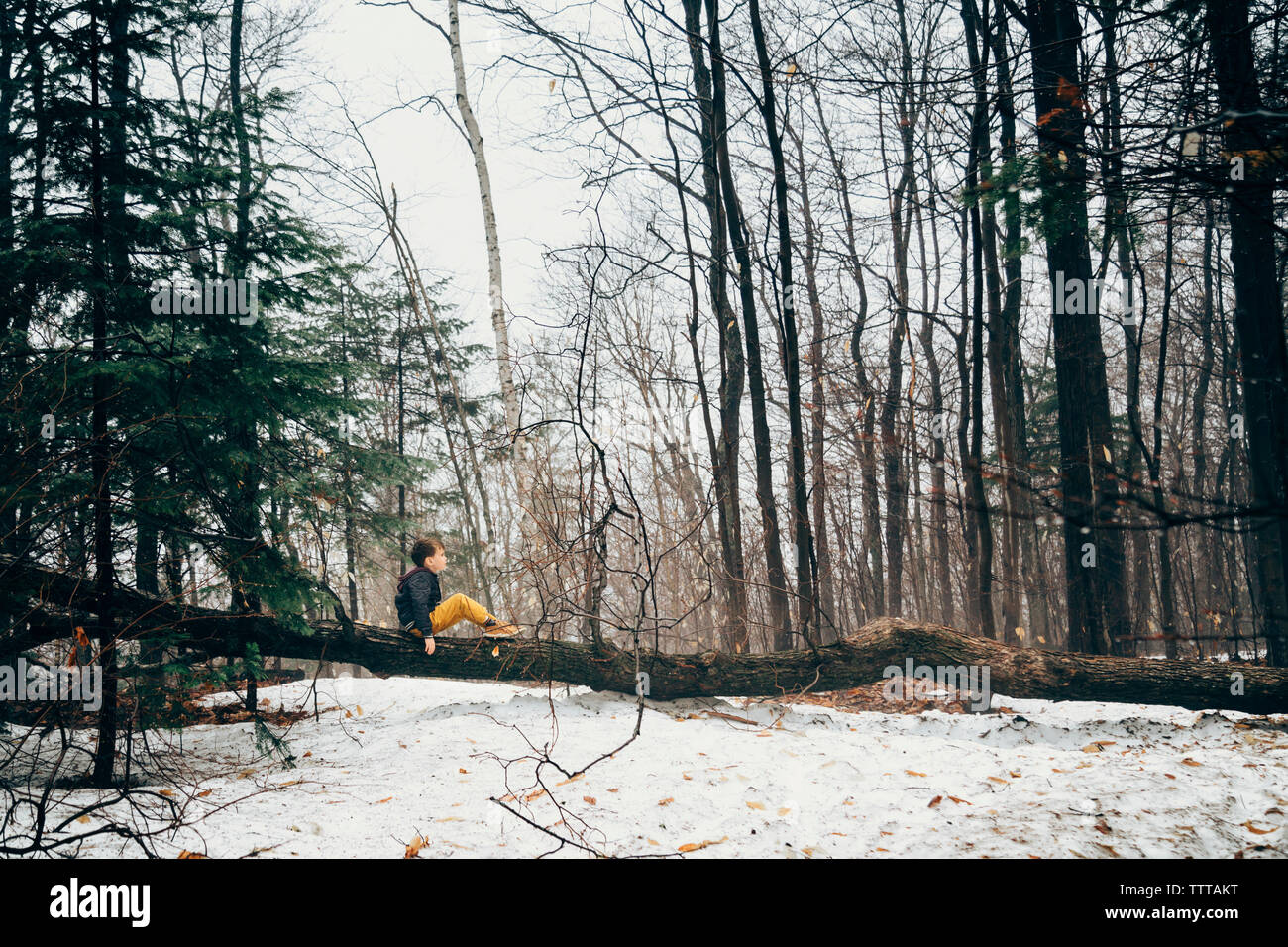 Seitenansicht der Junge sitzt auf umgefallene Baum im Wald im Winter Stockfoto
