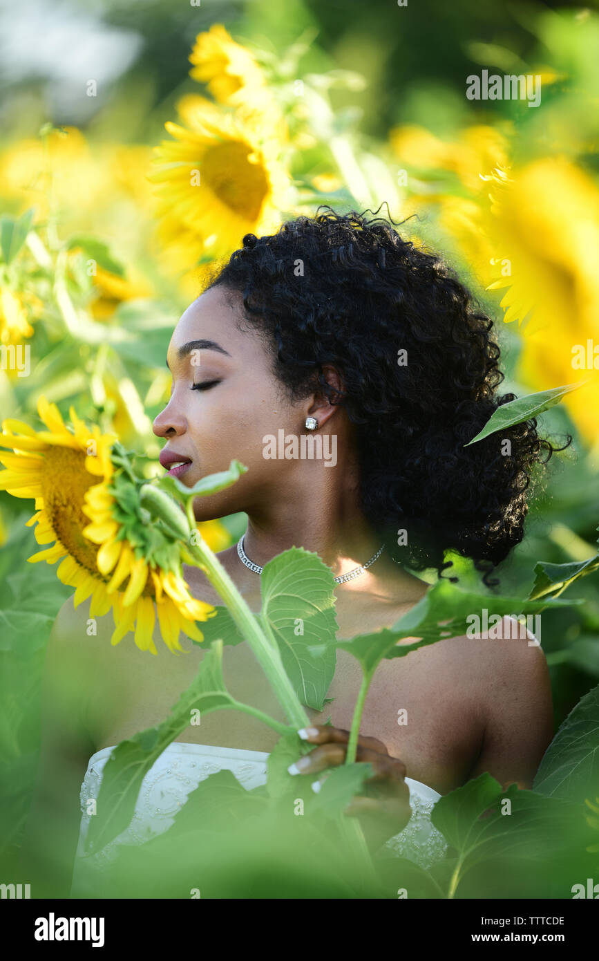 Close-up Braut mit geschlossenen Augen steht man inmitten Sonnenblumen auf der Farm Stockfoto