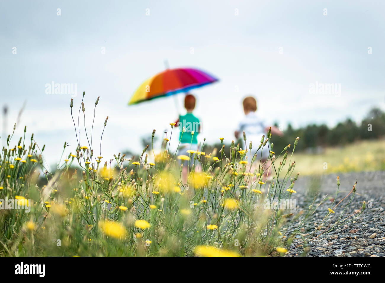 Zwei Kinder gehen im Regen mit einem Regenbogen Regenschirm Stockfoto