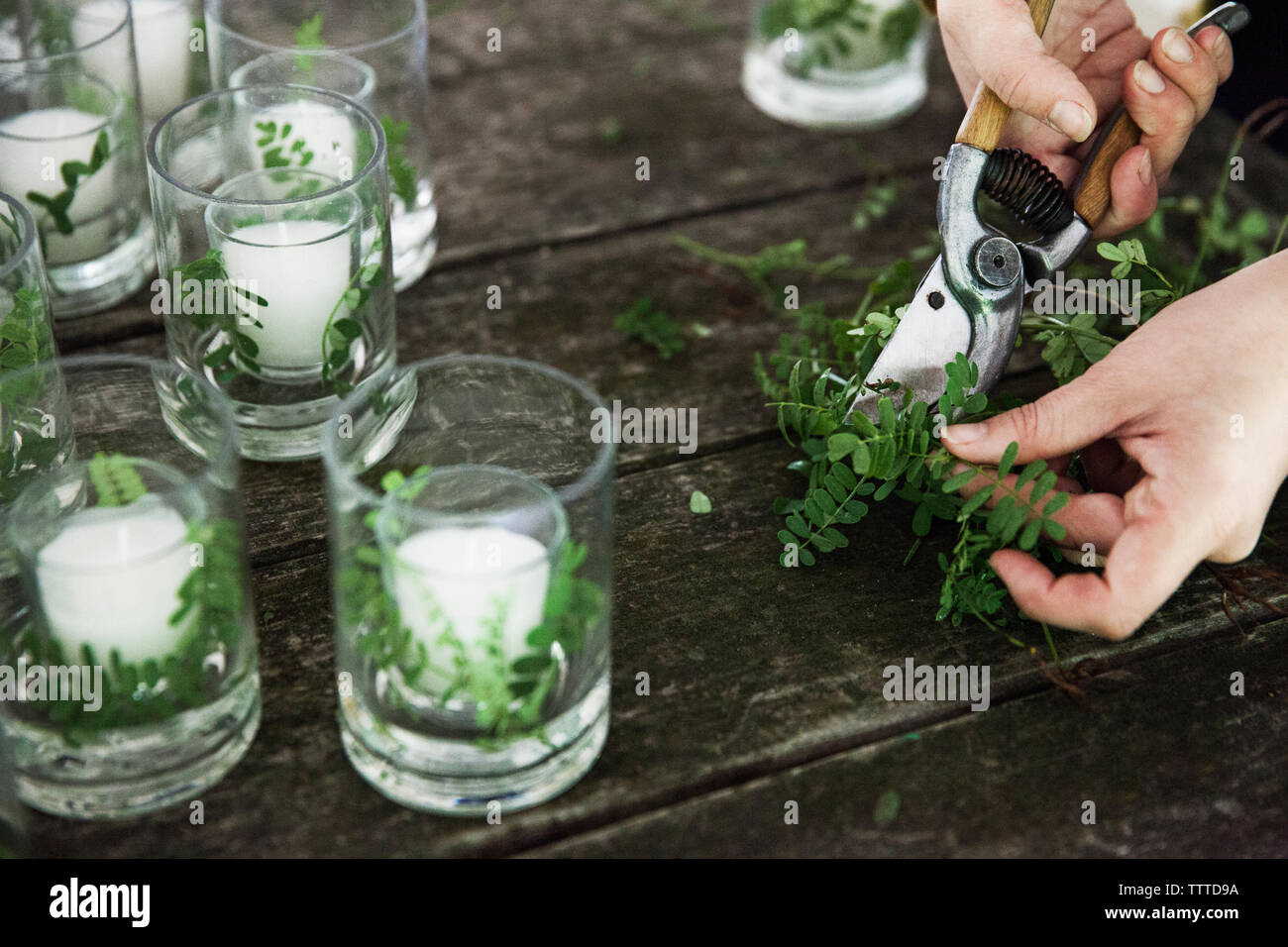Zugeschnittenes Bild der Hände schneiden von Zweigen am Tisch Stockfoto