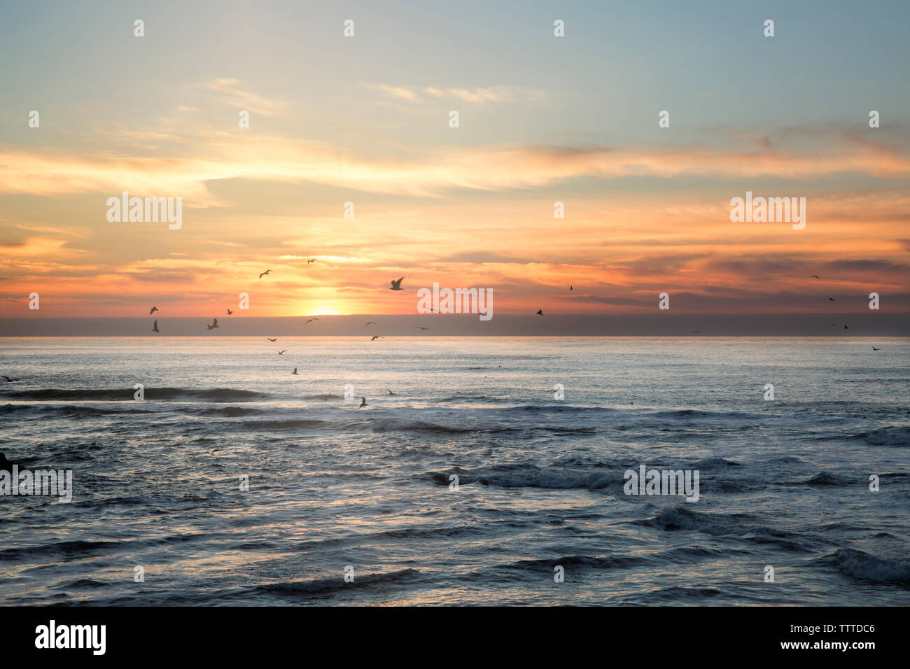 Silhouette Vögel fliegen über Meer gegen Himmel bei Sonnenuntergang Stockfoto