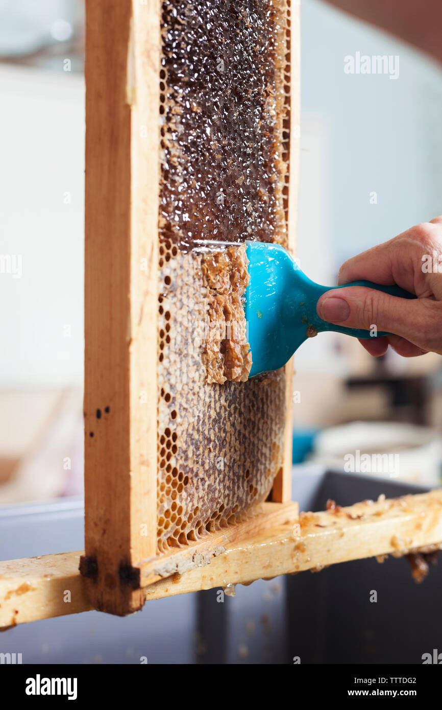 Zugeschnittenes Bild von Hand Reinigung Holz- Bienenstock Rahmen Stockfoto