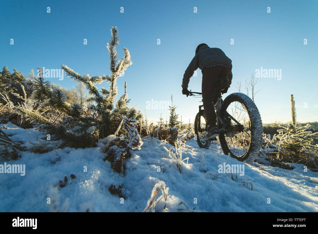Mountainbiker im Schnee Stockfoto