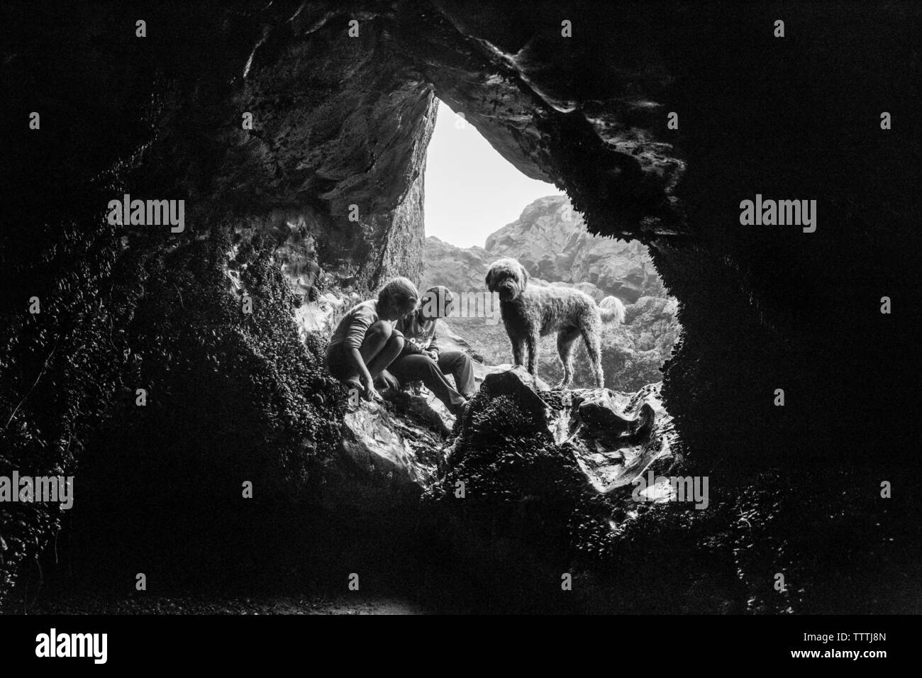 Zwei Kinder auf der Suche mit Hund im Meer Höhle Stockfoto