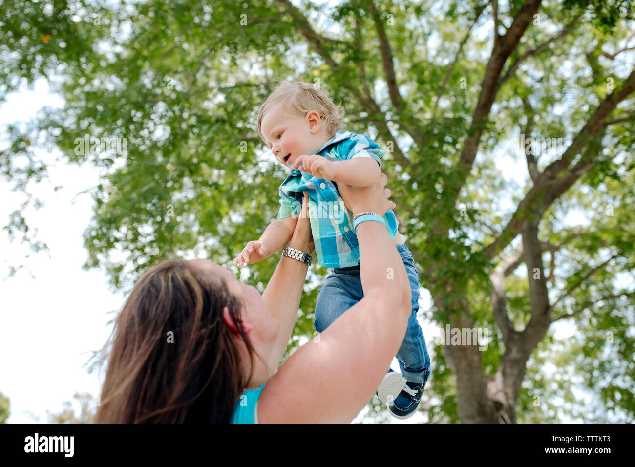Low Angle Mutter anheben Sohn gegen Baum im Park Stockfoto