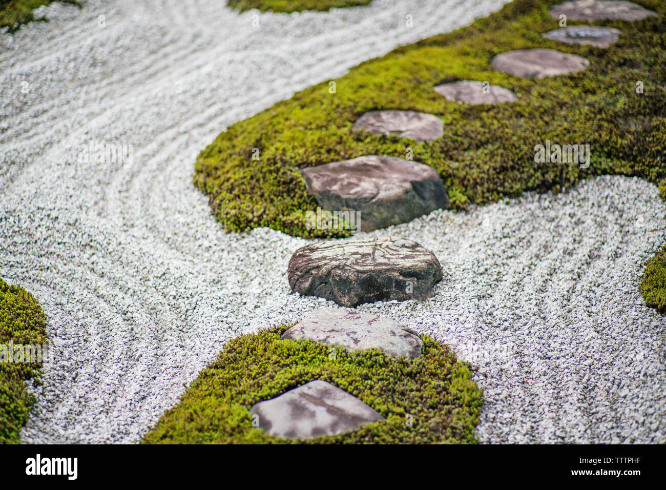 Moos und Kies in japanischen Steingarten im Tempel Stockfoto