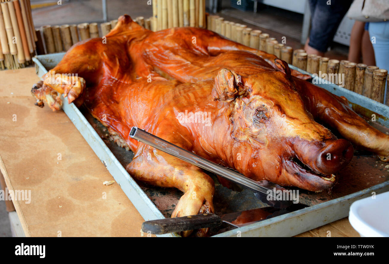 Gebratene ganze Schwein in einem Strich, kubanisches Essen schöne Farbe Stockfoto