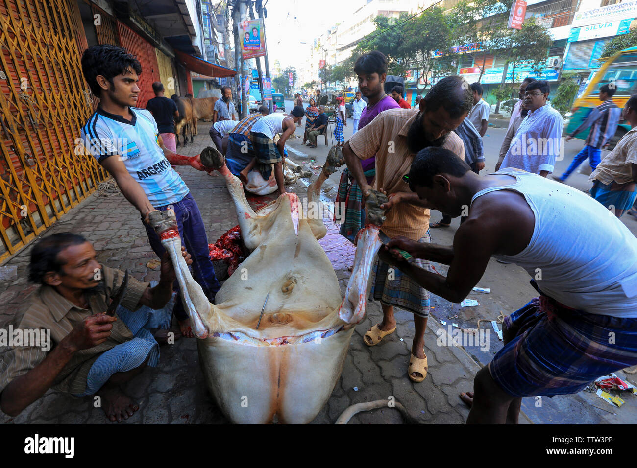 Tiere in der Straße für die größten muslimischen Fest Eid-ul-Azha auch als der Eid des Opfers bei Dhaka, Bangladesch bekannt geschlachtet. Stockfoto