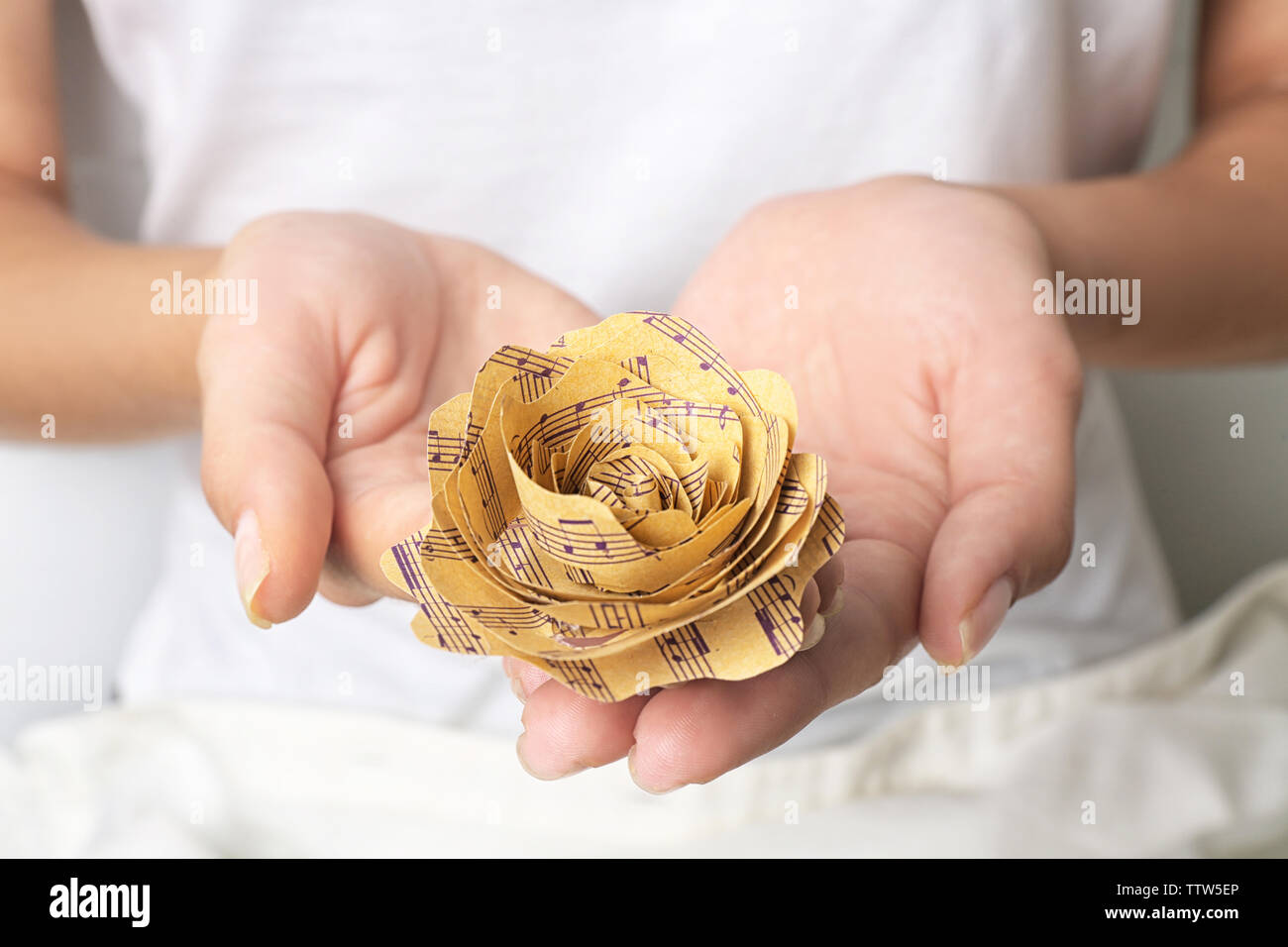 Schöne rose Musik Noten in weibliche Hände Nahaufnahme gemacht Stockfoto