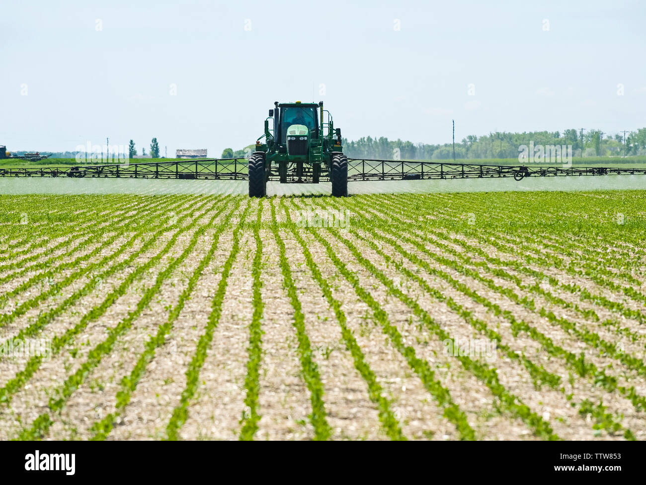 Eine hohe Bodenfreiheit Feldspritze gibt einen Boden chemische Anwendung von Herbiziden zu frühen Wachstum Sojabohnen, in der Nähe von Niverville, Manitoba, Kanada Stockfoto