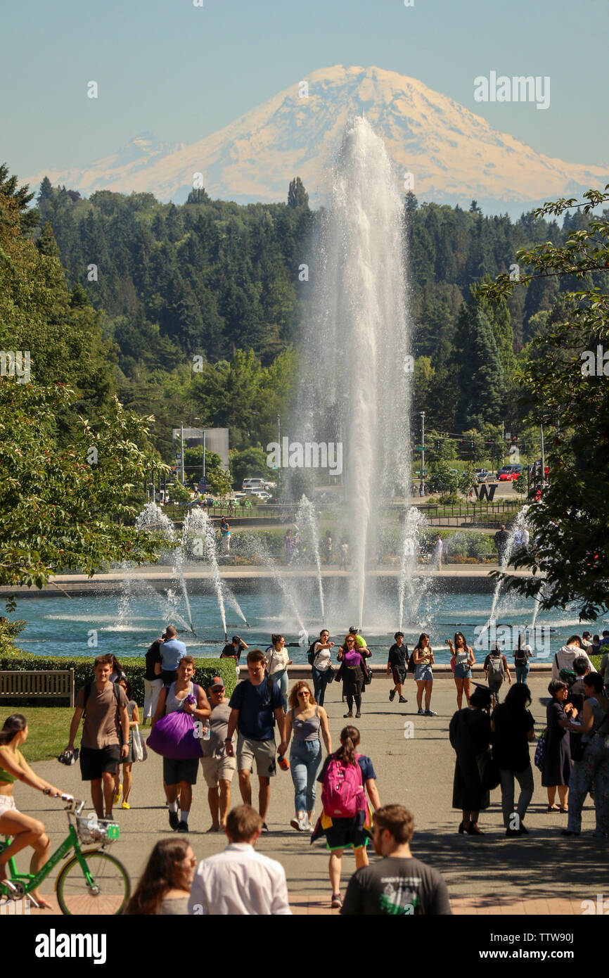 Staffelung Massen in der Nähe von Drumheller Brunnen, Campus, Universität von Washington, Seattle Stockfoto