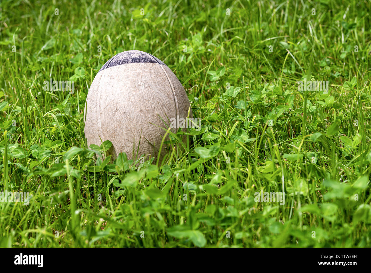 Nahaufnahme eines alten weißen und schwarzen rugby ball auf grünem Gras Stockfoto
