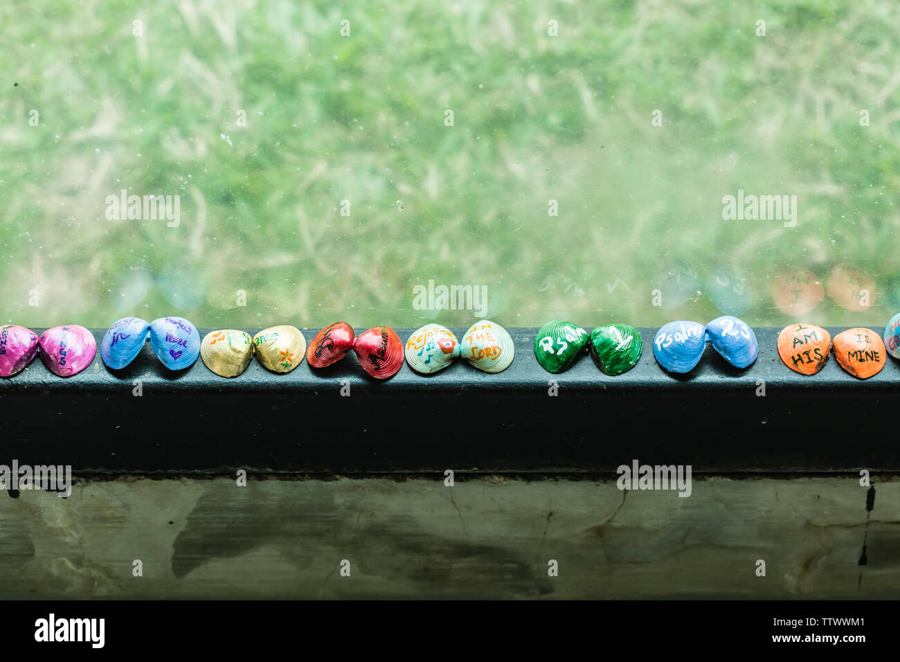 Weihnachten Thema bunte shell Anzeige Detailansicht Stockfoto