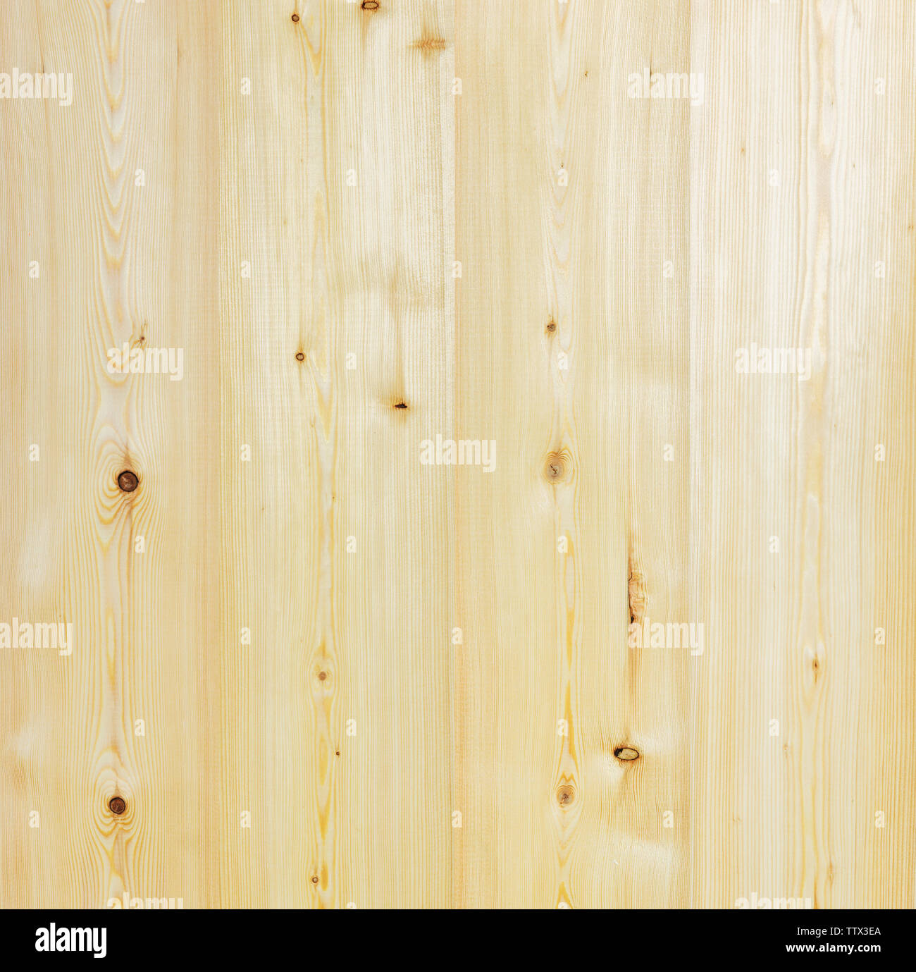 Holz Textur Stockfoto