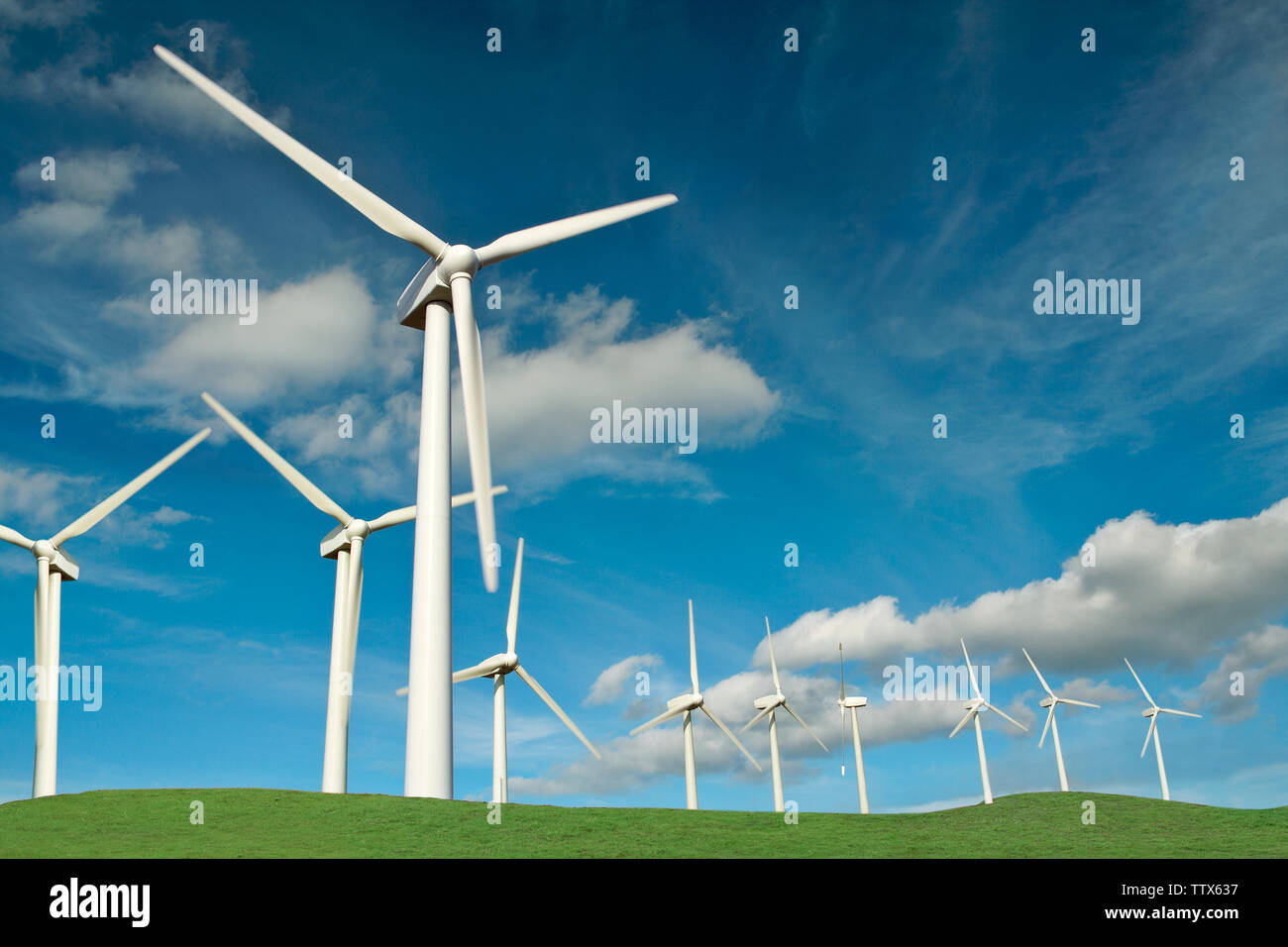 Windkraftanlagen in einem Feld Stockfoto