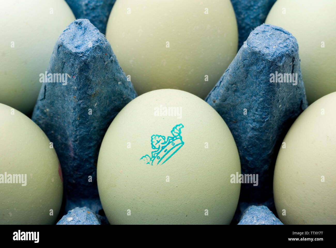 Alte Cotswold Legbar Eier Stockfoto