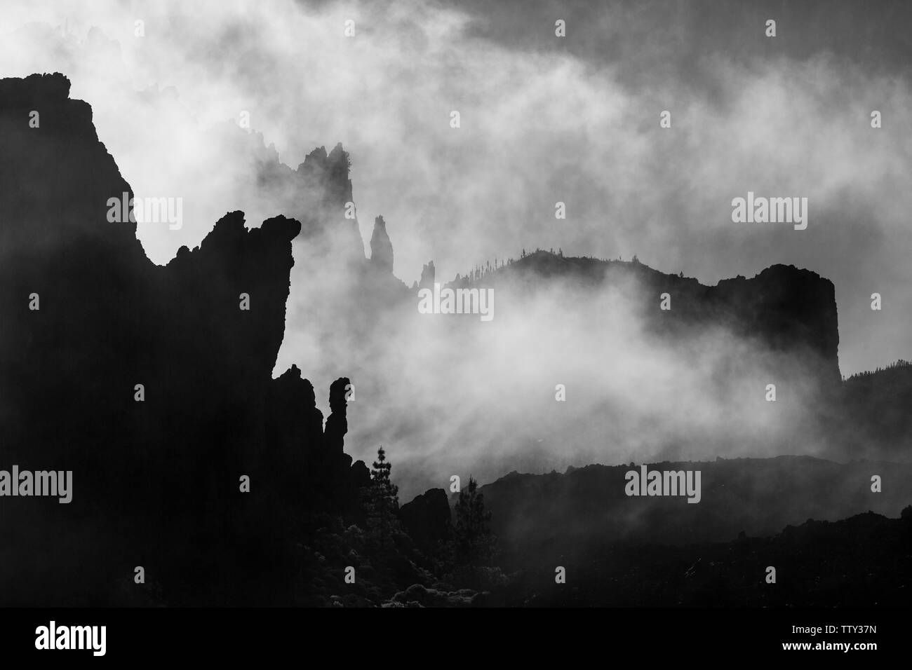 Nationalpark Teide, Teneriffa, Kanarische Inseln, Spanien, Europa Stockfoto