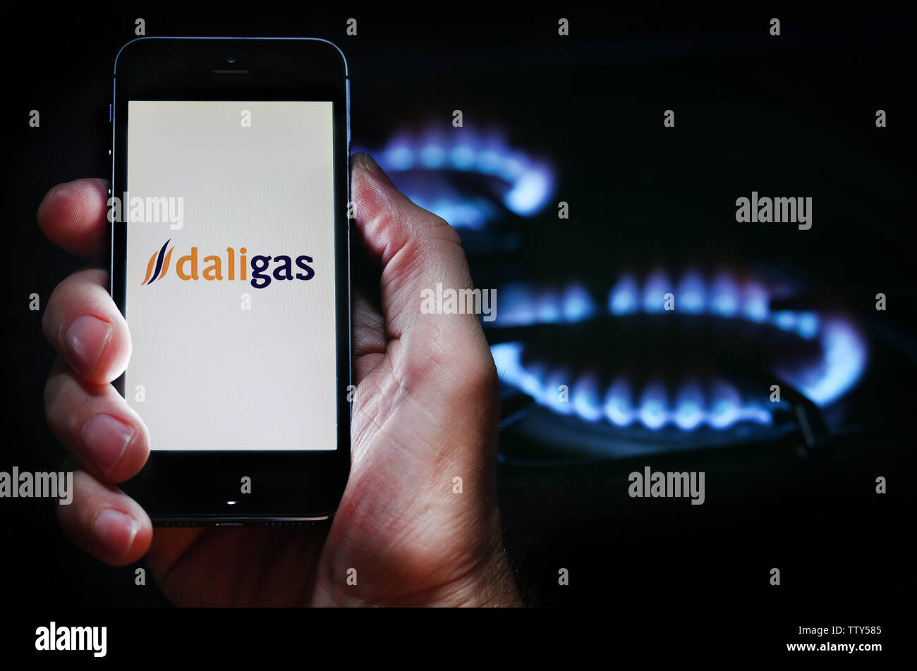 Ein Mann auf der Website Logo auf der Suche nach Energie Firma Daligas auf seinem Mobiltelefon vor seinem Gaskocher (Editorial nur verwenden) Stockfoto